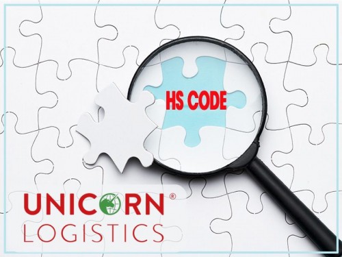 Hướng dẫn tra mã HS code chuẩn và áp thuế đúng quy định 2025 (Cập nhật mới nhất)