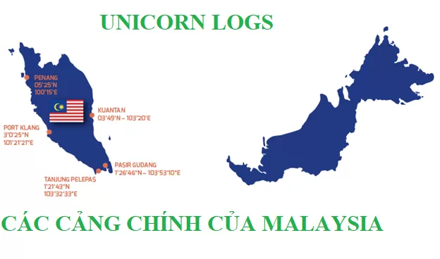 cang malay