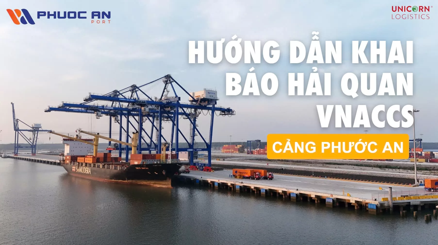 ANH DAI DIEN