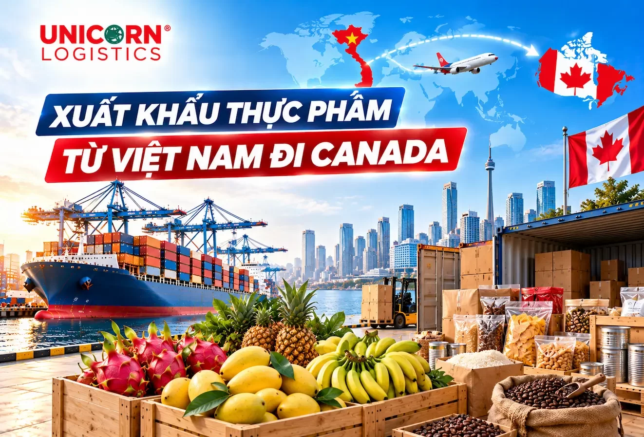 Quy trình xuất khẩu thực phẩm từ Việt Nam sang Canada từ A-Z: Thủ tục, tiêu chuẩn, chi phí