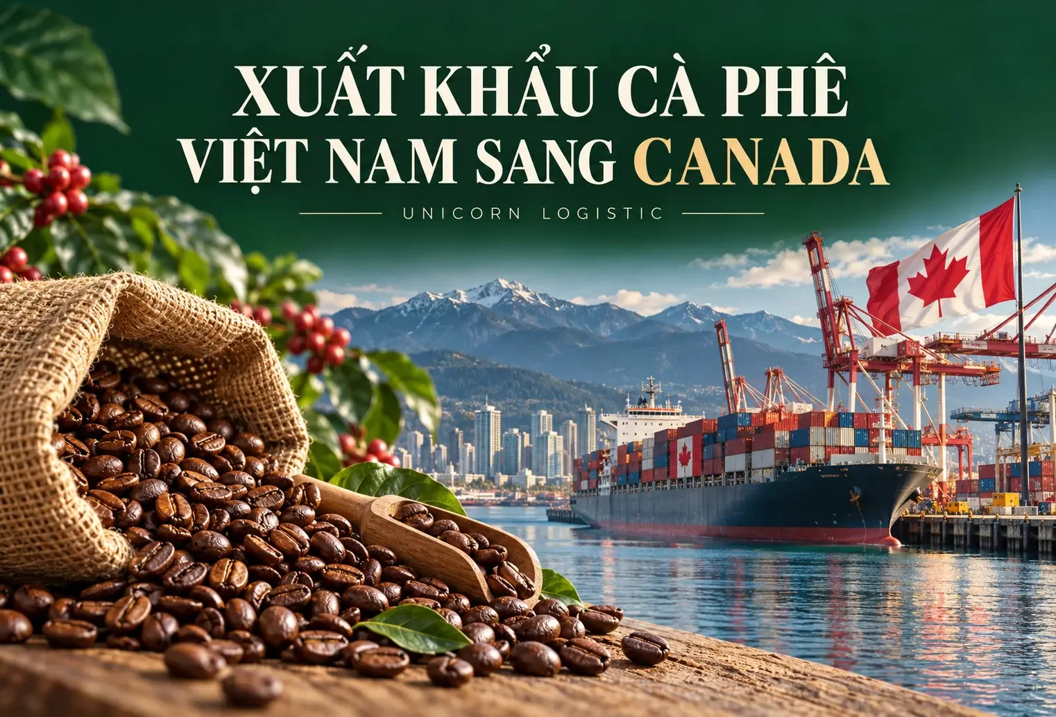 xuất khẩu cà phê Việt Nam sang Canada