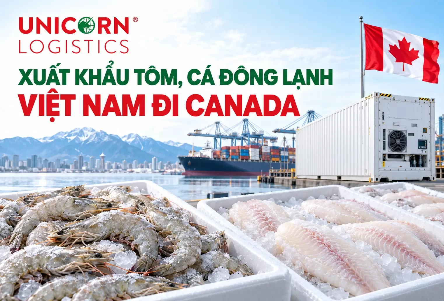 Xuất khẩu tôm, cá đông lạnh từ Việt Nam đi Canada cần lưu ý gì?