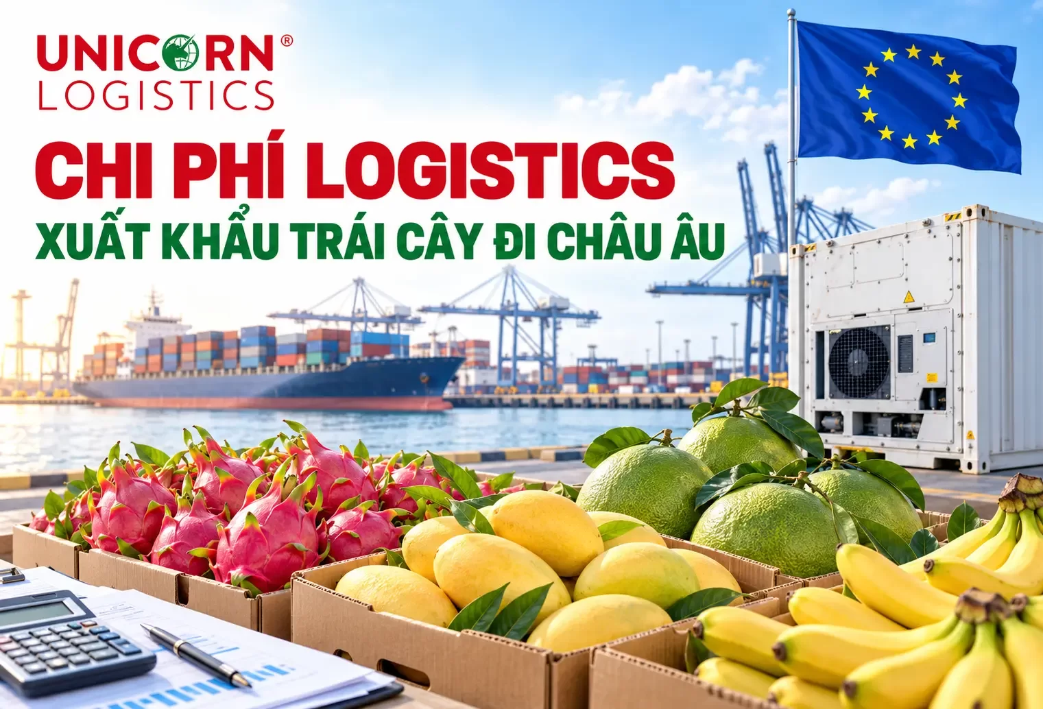 Chi phí logistics khi xuất khẩu trái cây đi các nước châu Âu