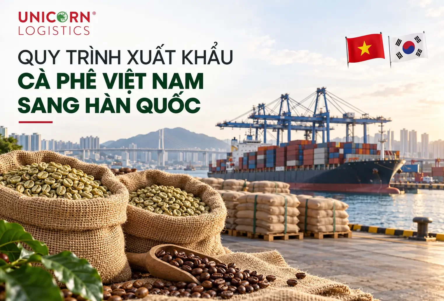 Quy trình xuất khẩu cà phê từ Việt Nam qua Hàn Quốc