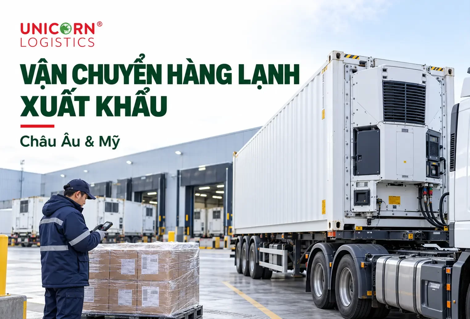 Giải pháp tối ưu vận chuyển hàng lạnh xuất khẩu đi các nước châu Âu, Mỹ
